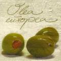 olives0120-1.jpg (3252 octets)