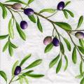 olives0123-1b.jpg (4758 octets)