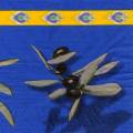 olives0129-2.jpg (3217 octets)