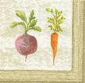 potager0011-1b.jpg (3232 octets)