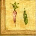 potager0011-2a.jpg (3319 octets)