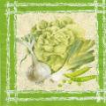 potager0040-1.jpg (3891 octets)