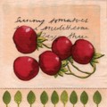 tomates0030-1b.jpg (6571 octets)