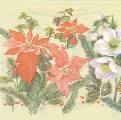 noel0021-1a.jpg (3869 octets)