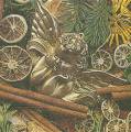 noel0031-1b.jpg (4763 octets)