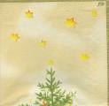 noel0032-1a.jpg (2221 octets)