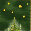 noel0032-2a.jpg (2893 octets)