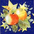 noel0084-1.jpg (4947 octets)