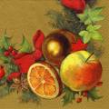 noel0090-2b.jpg (3478 octets)