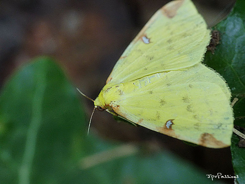 Photo du 13/06/2017